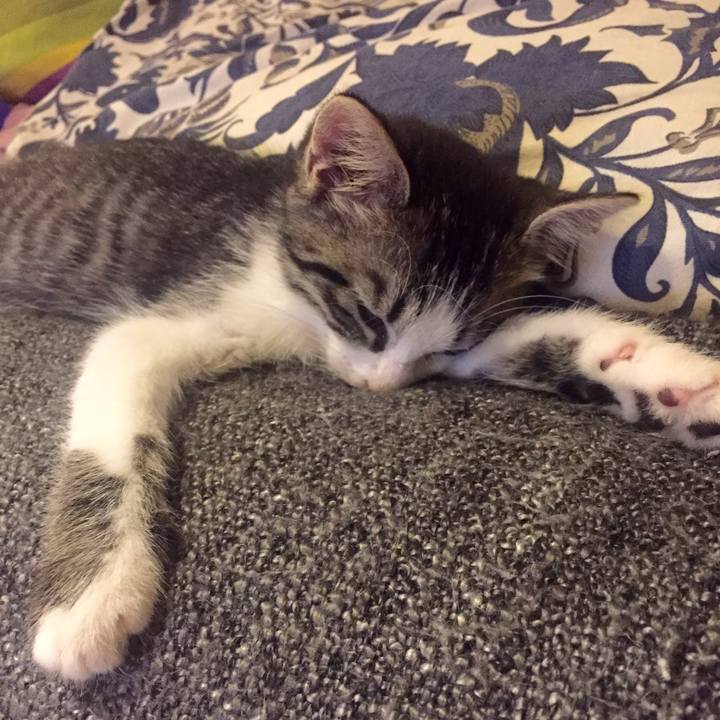 397460b6 0946 4d4a 9d11 85cb495ee415