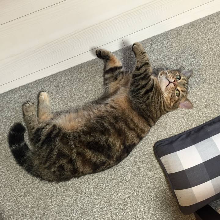 397530fd 1a12 44f1 9865 95f3d3edb6a7