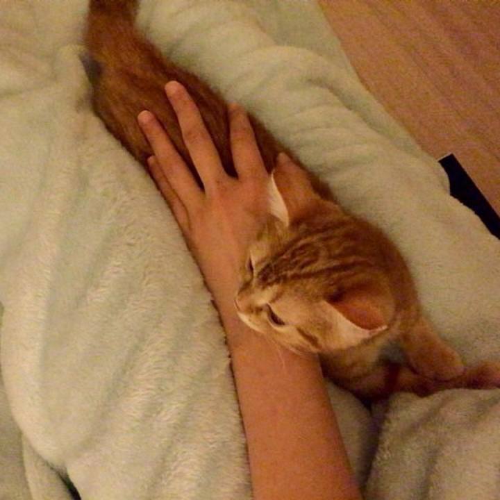 39754cc0 dd5e 45af ab60 2c24adbe6108