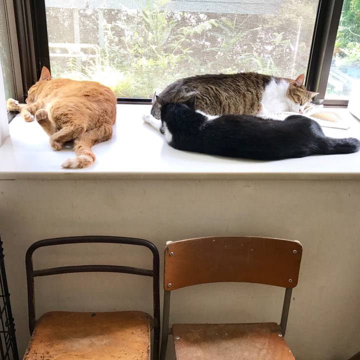 3975a014 98fe 4486 9445 926b0bfe2dee