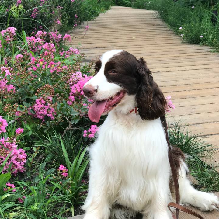 3975d12f e880 4dc9 87e0 13c104e99b6b