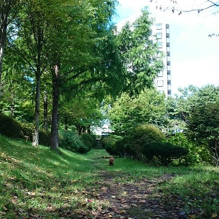 3975eb9f 4fe5 4240 b08e 38bdb0dd9427