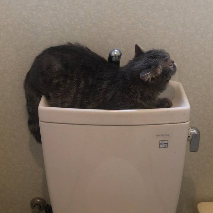 39778f6b 6108 4dc7 9f4e 1d70c3f8869f