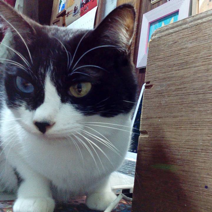 3978215e cd55 43b2 bc71 3c51ffe65a8b