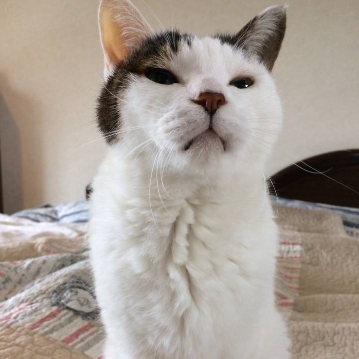 3978631d 8895 45e1 8647 95f84d7daee5