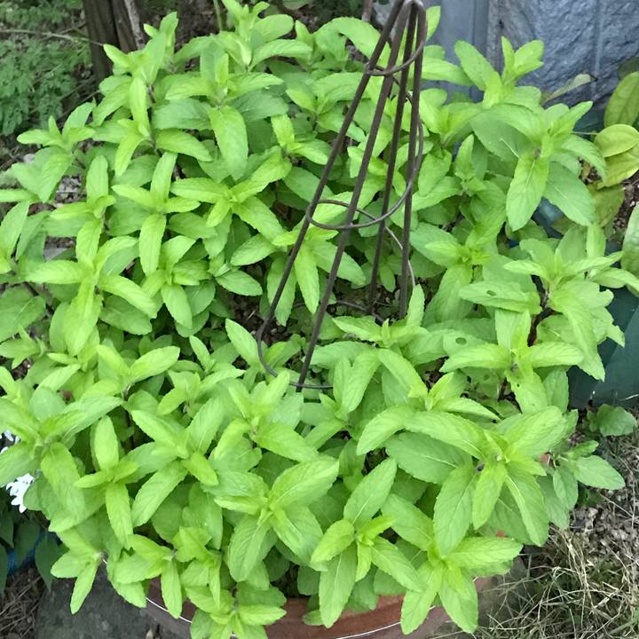 39787372 9de4 4b74 814a 3c60ecbb94a1