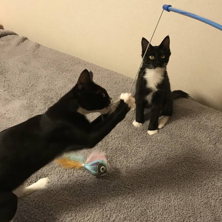 397875b8 86eb 411f 99da 3a55bcf138af