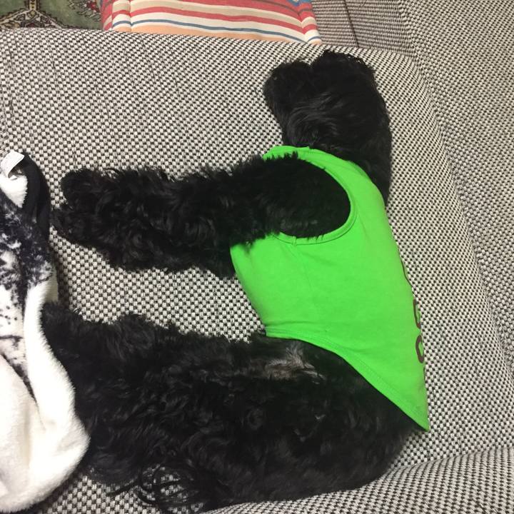 3978a0b4 2cba 4b6b a3a9 d0aad5c4892d