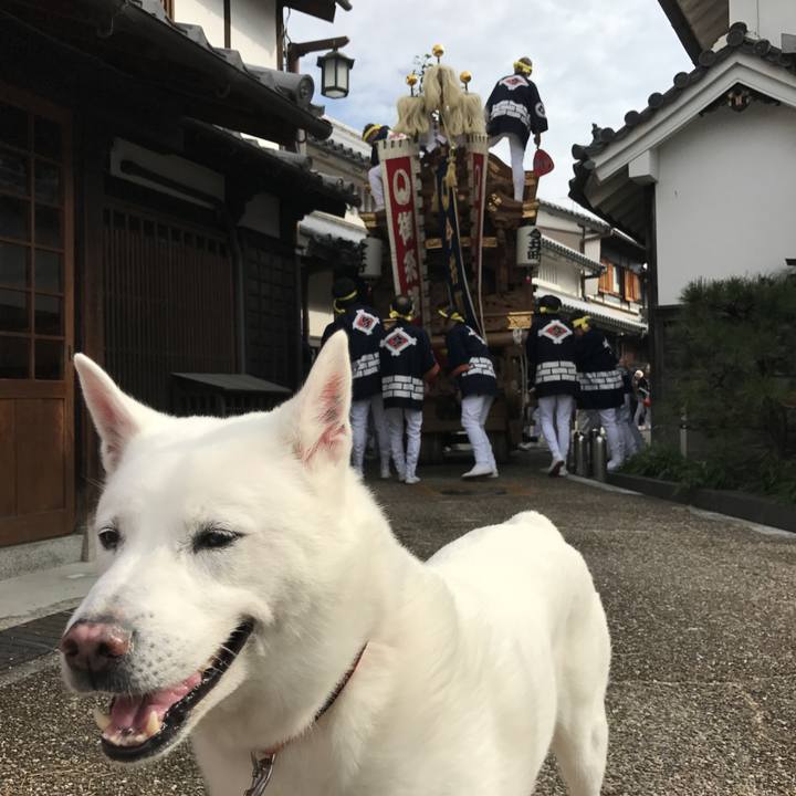 3979b733 b56e 4d4d b473 9a4171ca6a49