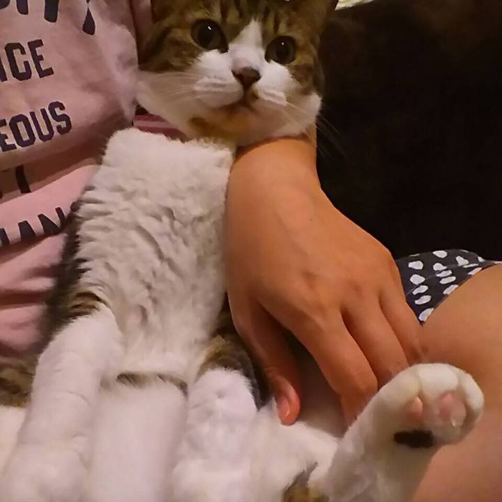 397a112d bcb6 4572 a19d b6651aab9d4c