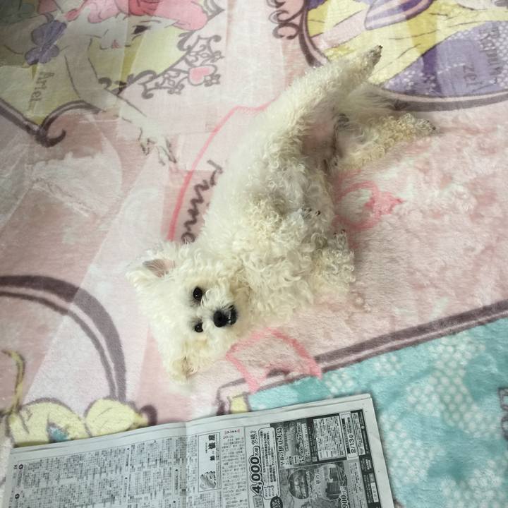 397a151b 846c 427d 9029 767b607febe1