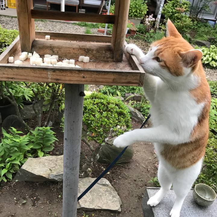 397a1fa5 8a5a 469b a6e5 f3ec722a3af0