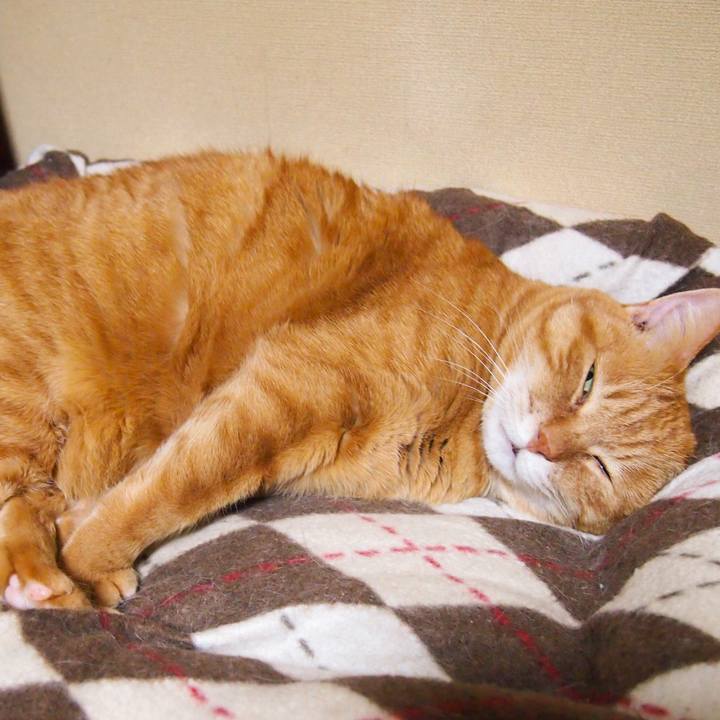 397a2da6 1bc3 4541 ad7c b31206210942