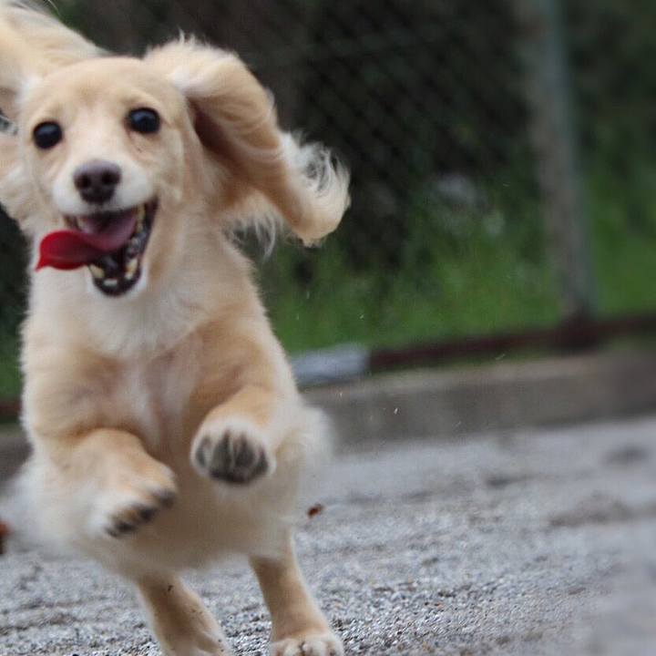 397ae8a8 8d45 4a44 8b28 b98768340d33