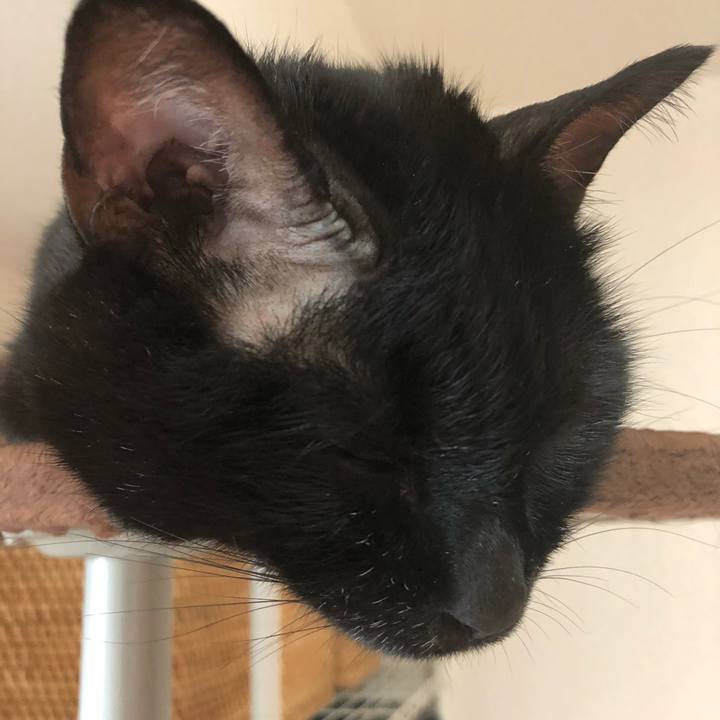 397b64d2 8e9b 4a28 8447 7f5eb95c5332