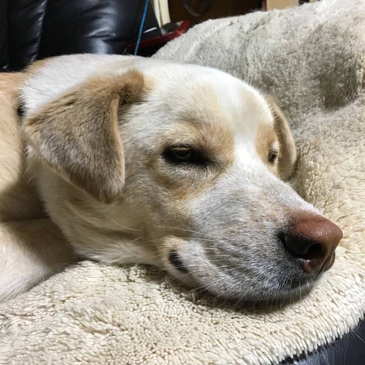 397b6d8e a70d 406b b7e2 d137f99ad473