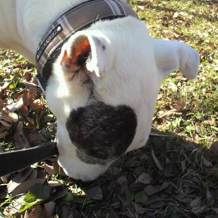 397c6b6d 98e6 4077 8700 d426e0a7837a