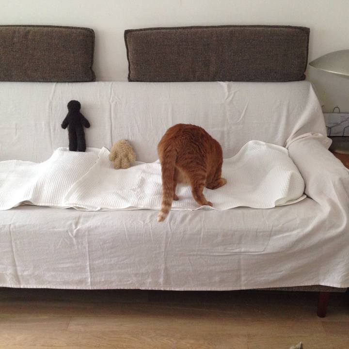 397ca089 207c 481f bf1a 7d577e583060