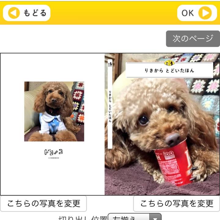 397d1f87 b1c5 4b22 b700 cf70052a7e39