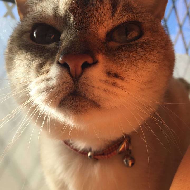 397d82ea 0ca1 4685 b7d5 b5503eefff20