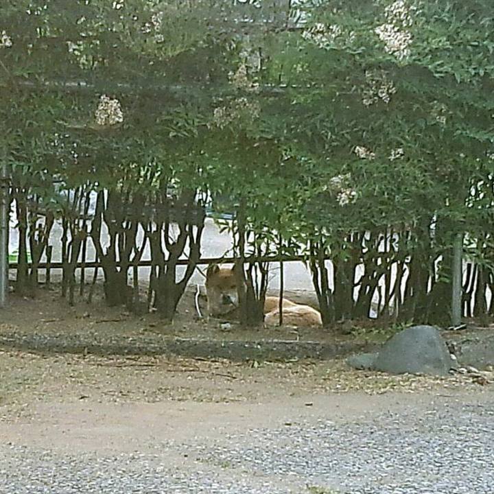 397d85f9 800e 4e49 bce1 fd64330e5866