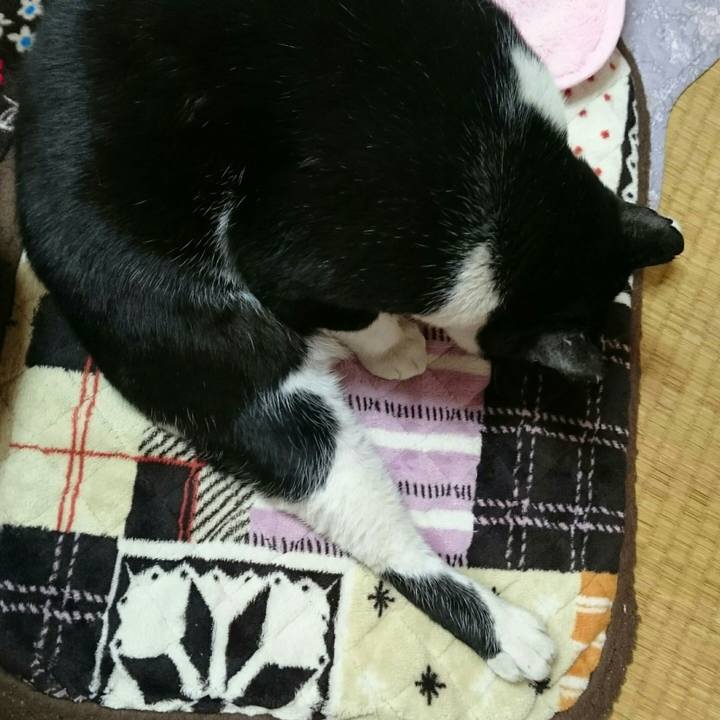 397dd606 580f 4383 9db3 ed194ce9e7f5