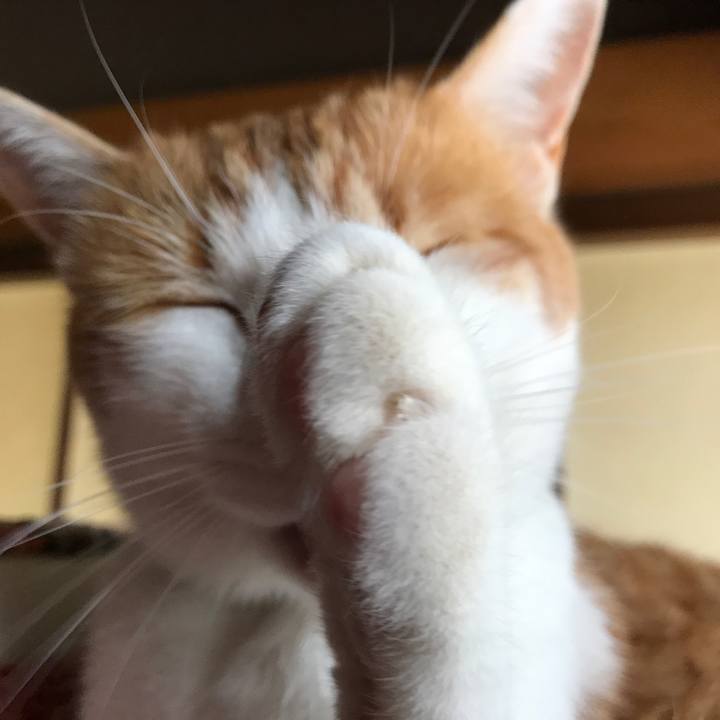 397e88a9 abb4 4c22 a1b4 844a2d5575c6