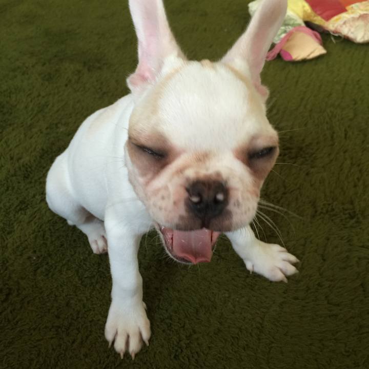 397eb2aa dec0 464c a676 ffa6feadf0b1