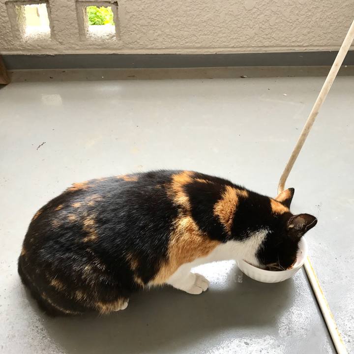 397eb667 6912 4406 8596 0ad3a26fe6d0