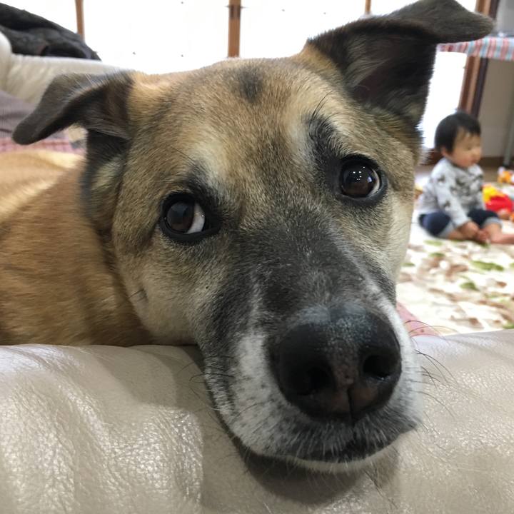 397eff75 dde5 4964 a008 af910045a6d9