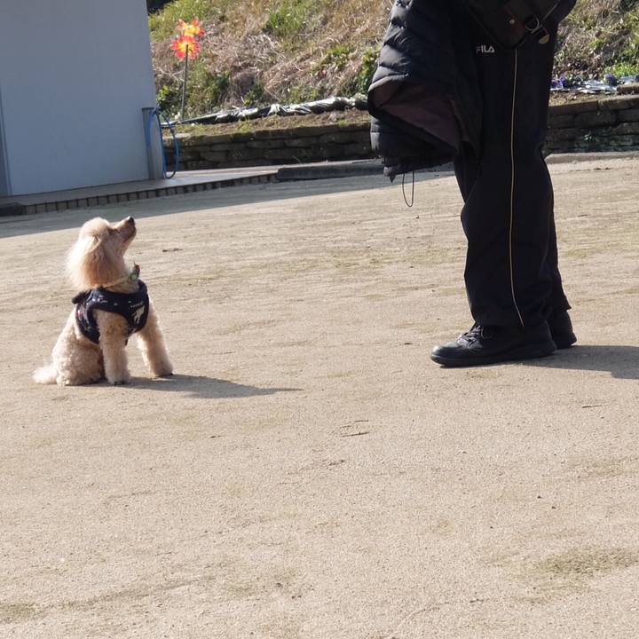 397f2065 ed0c 4539 8118 fa4ca36e7104