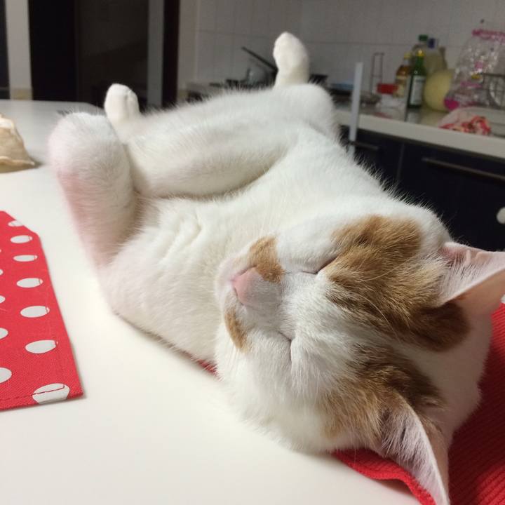 397f4240 e54d 4c59 815c 6435f529f1e3