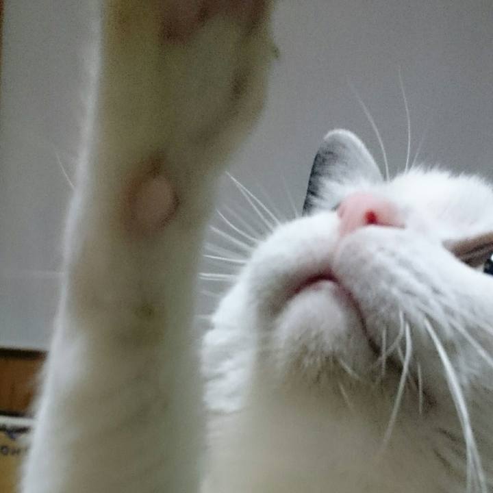 397f70e4 dfae 4374 b8d1 1125b0b951f7