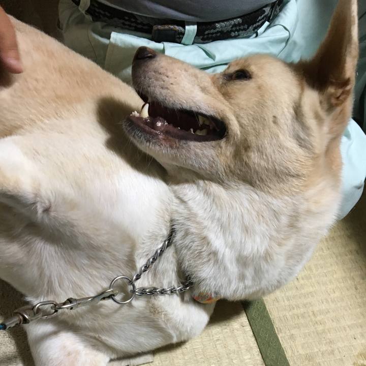 397f98f5 f0d3 4a2a a918 4ff21724c1ec