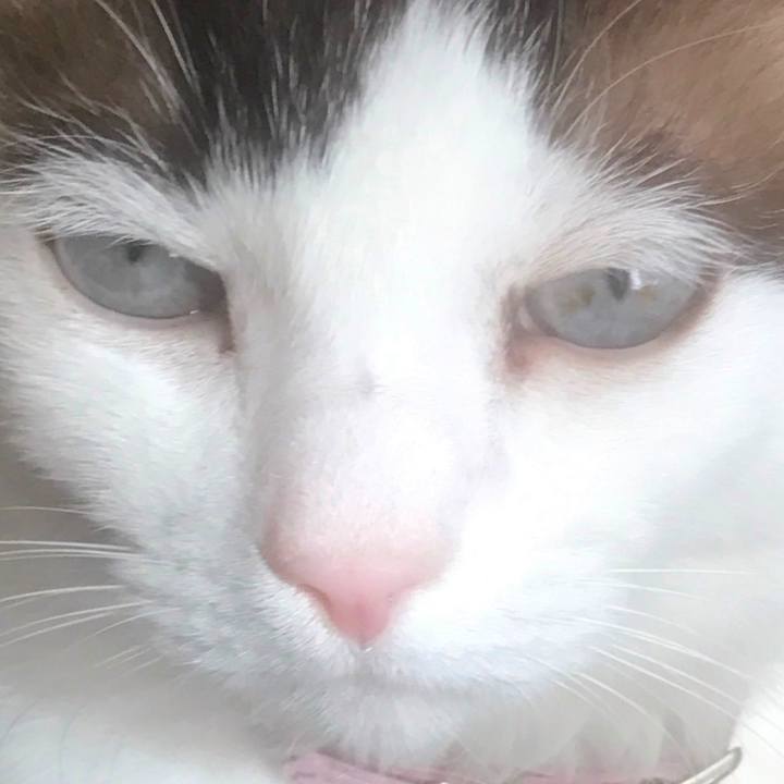 397fa349 4961 4c94 bd2f 193fc9c908ba