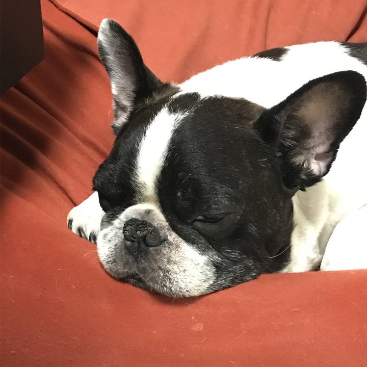 397fbf91 a1b0 4f0d 811d 0c5c13d987e0