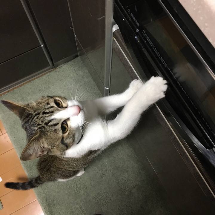 3980a6ee f775 48fe 998e 0951d9452138