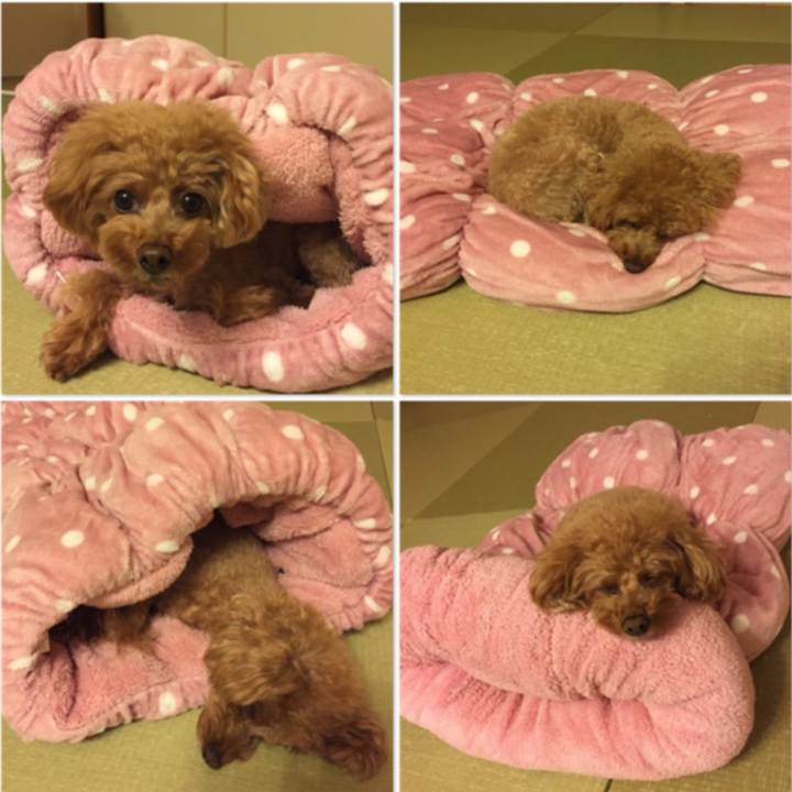 39813f3b 8aa4 4621 9908 5603bccc7cb7