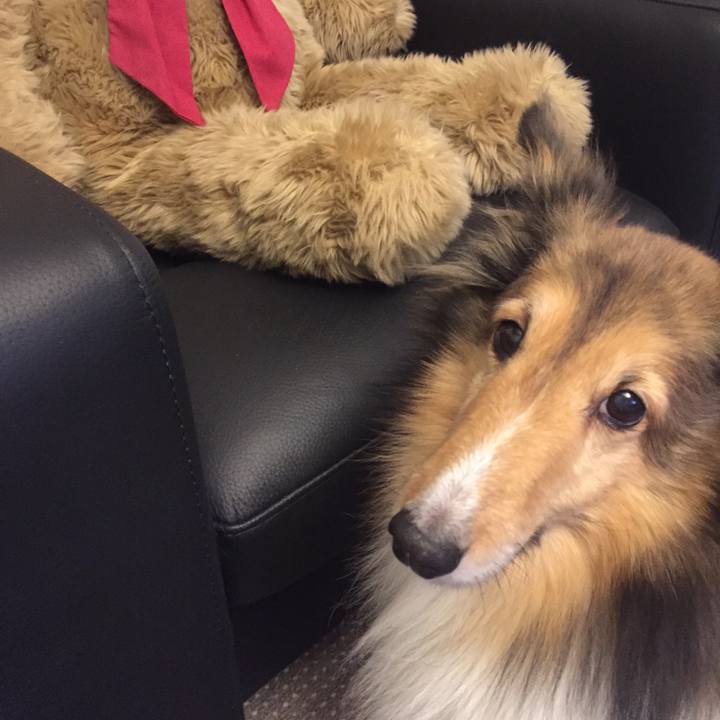 3981939c c1e2 43eb b08c 517d63e93682