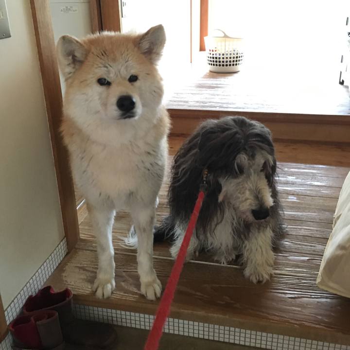 3982075c 7230 4958 87be 5b52240be0c1