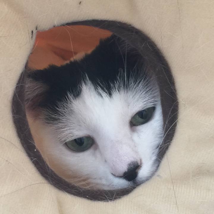 39820bc1 4e5f 4416 bb8b d39afc3208dd