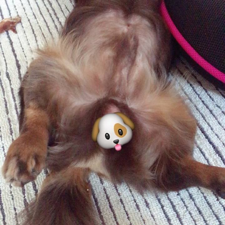 3982a2c8 490f 4567 90db 5a49a824595e