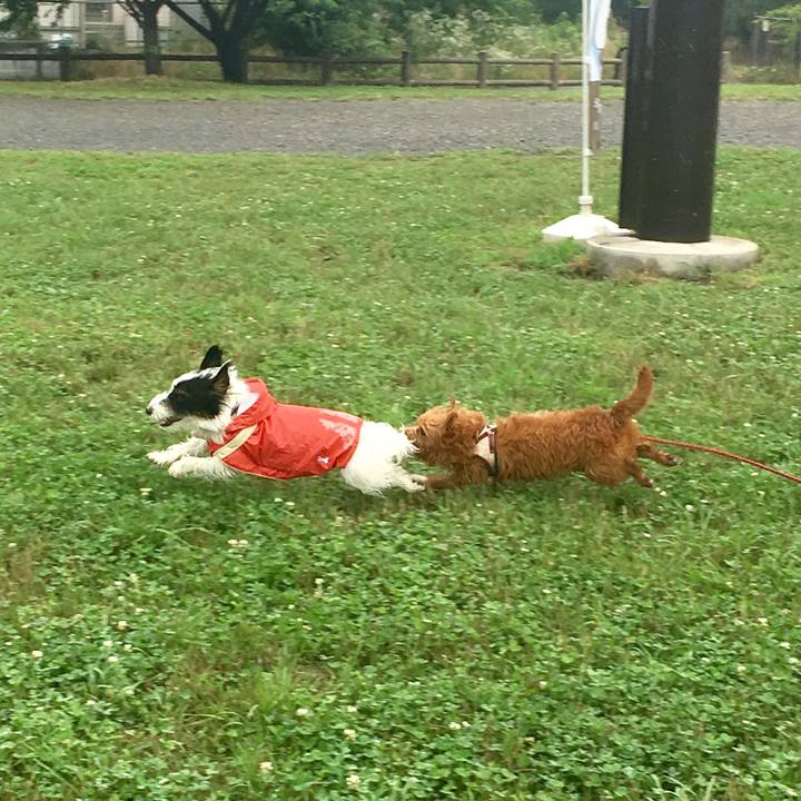 3983e3ab c5b8 4ca1 92d9 c526860329e2