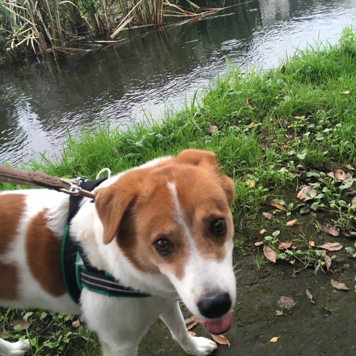 3983ee01 6860 49fa a0ee ee1589535f42