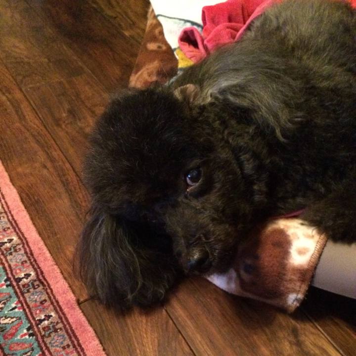 398488df fc82 46ad a398 05a9dec1d9ab