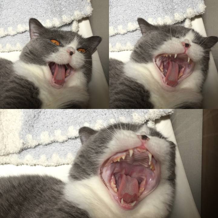 3984a838 557e 4284 835c 5039ae69297e