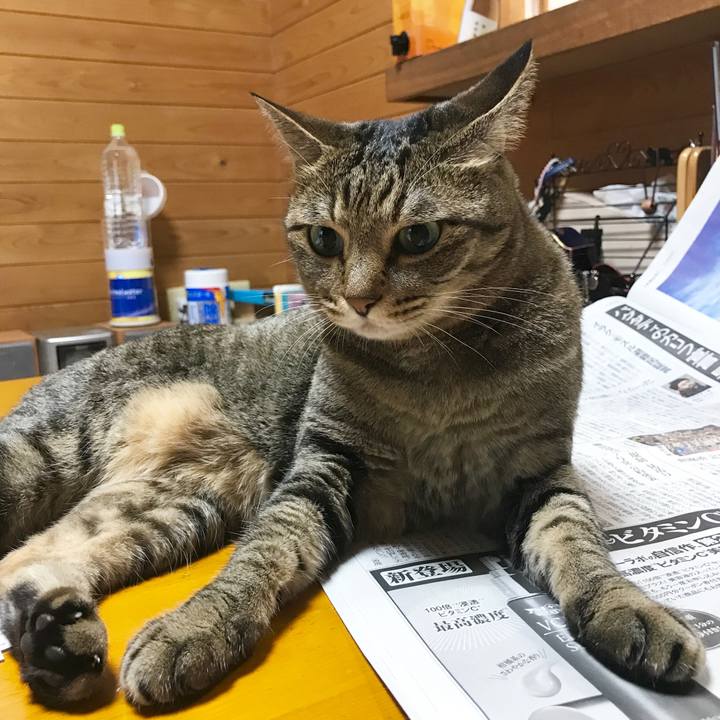 3985b54a 9fee 4414 9a74 57d856db3897