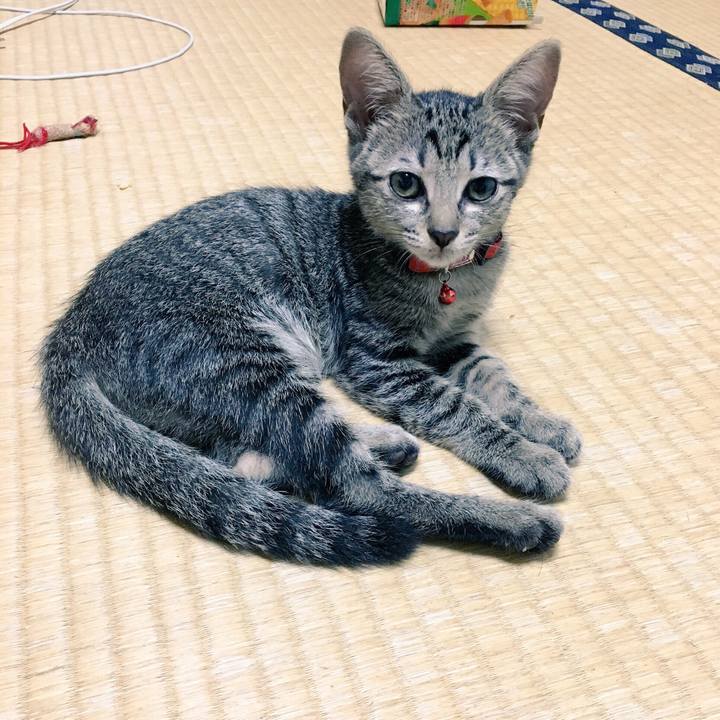 3985cd66 2684 4a3f 9003 bcd36635ecbd