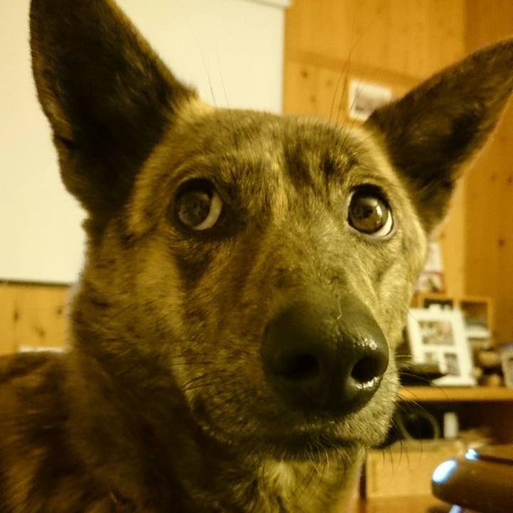 39861946 d516 4165 bcdd 2a767f5750f9