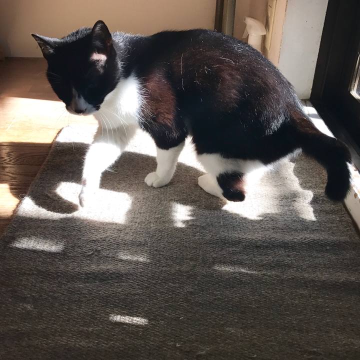 39863d02 bb40 4bc2 9970 50a80bdd26e6